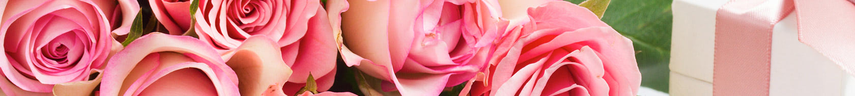 Pink roses are clustered together, with a white gift box tied with a pink ribbon located to the right, amidst green leaves.