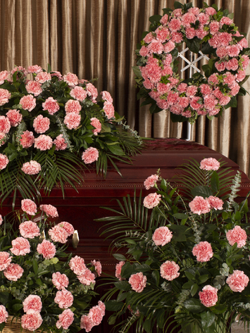 Pink Carnation  Tribute Series