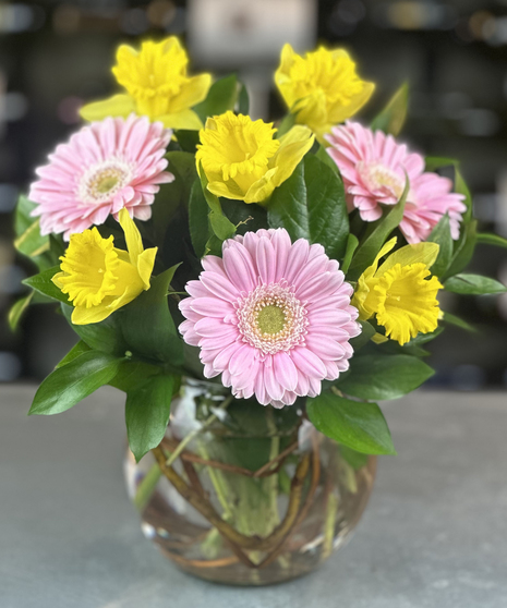 Gerberas & Daffodils