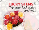 Click & Try Your Luck – Be Our Instant Winner of the Day!